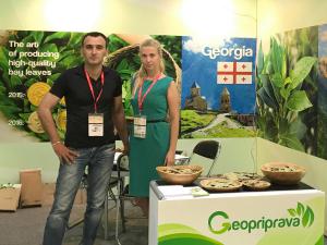 IFE 17